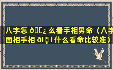 八字怎 🌿 么看手相男命（八字面相手相 🦁 什么看命比较准）